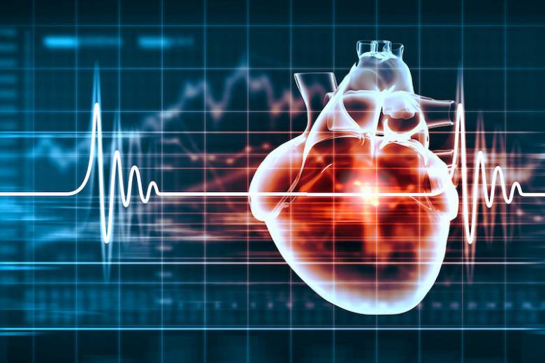 Cara Jantung Berpacu Mampu Mengubah Sirkuit Otak Pengambilan Keputusan